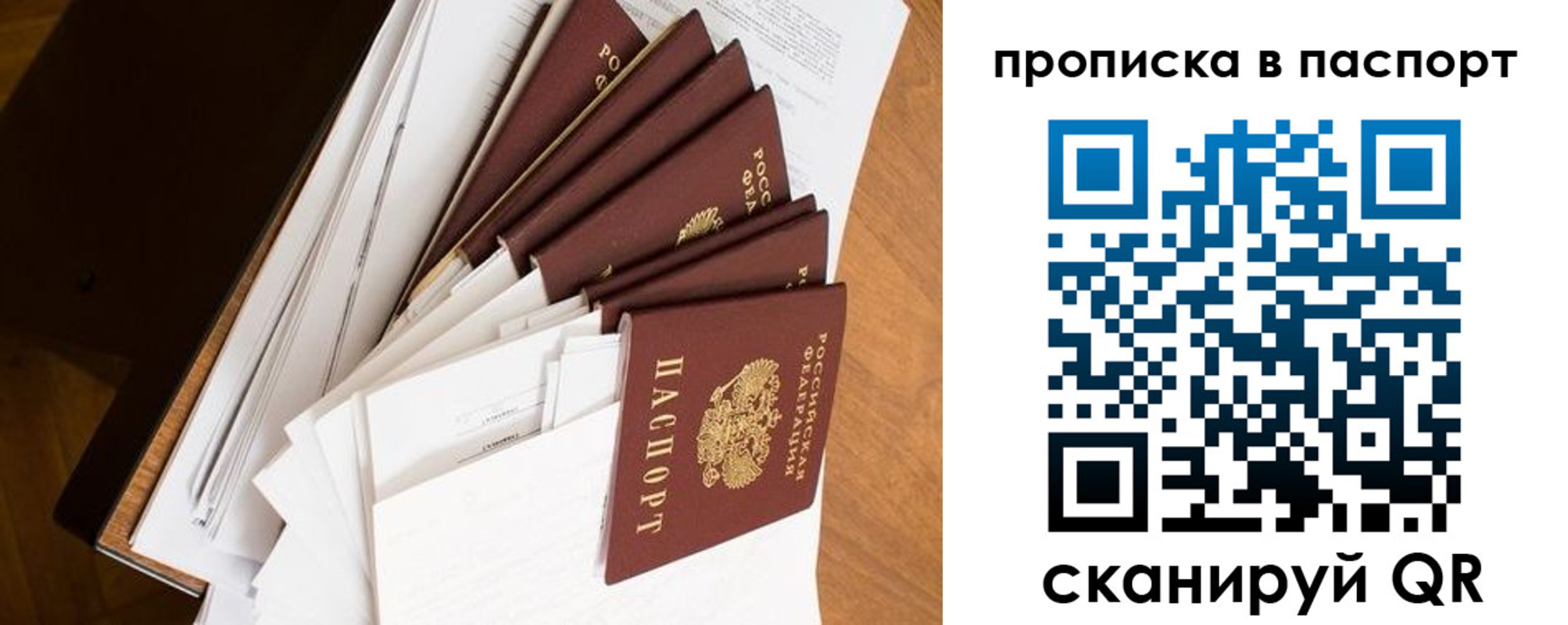 прописка 2025 в Курской области